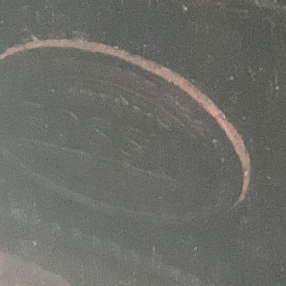 Fossil Crossbody Bag Elise Black Cowhide Animal Print Boho Western - Picture 8 of 15